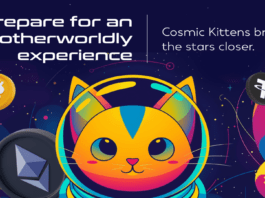 Cosmic Kittens